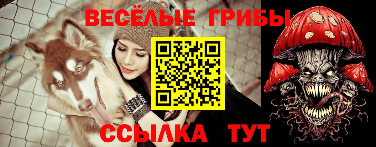 Галлюциногенные грибы мухоморы Щёлково